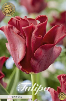 SLUT Red Dress Crown 